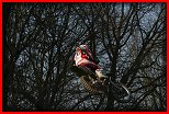 První jarní trénink Nové Město nad Metují 21.3.2009